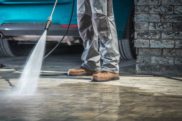 Best Fleet Vehicle Washing  in Dexter, MI