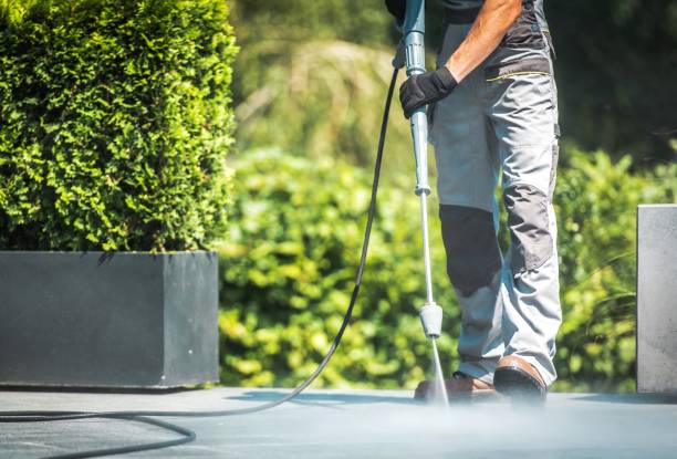 Best Building Exterior Washing  in Dexter, MI