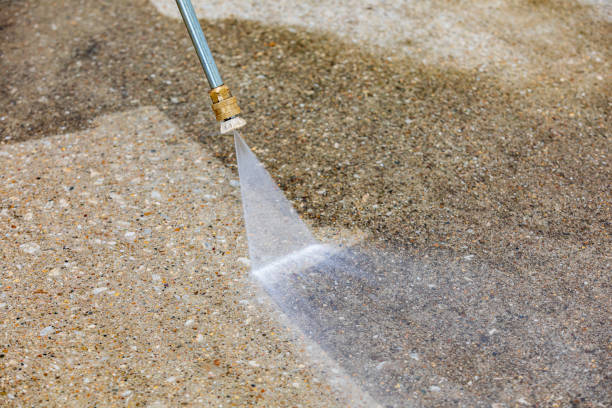 Best Pre-Holiday Cleaning  in Dexter, MI